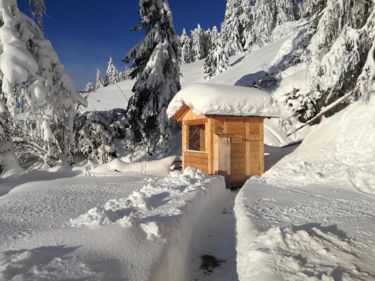 Apartment Himmelreichhof San Candido Eksteriør billede